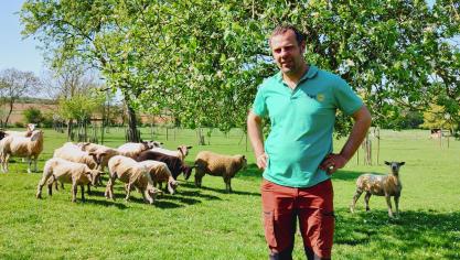 Propriétaire d’un verger de 120 arbres fruitiers hautes-tiges, Gaston Van Wilder est convaincu que le busard est un allié précieux qui va l’aider à lutter contre les rongeurs, mais dont la présence pourrait aussi jouer un rôle d’effaroucheur pour d’autres espèces d’oiseaux.