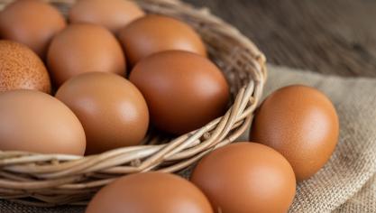 Les trois quarts des oeufs achetés sont issus de poules élevées en plein air.