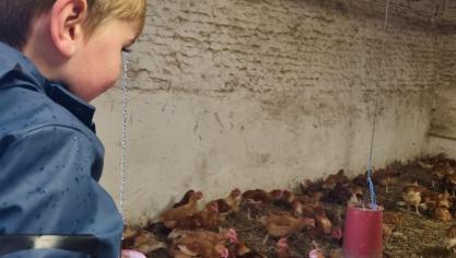 Pourquoi ne pas emmener les enfants explorer une ou plusieurs fermes près de chez soi «en vrai» ?