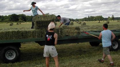 agriculture-91149