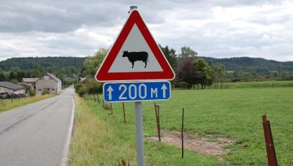 Pour la prochaine réforme, le think tank appelle  la commission à présenter une proposition ambitieuse car généralement la proposition initiale fixe les  paramètres du débat à venir.