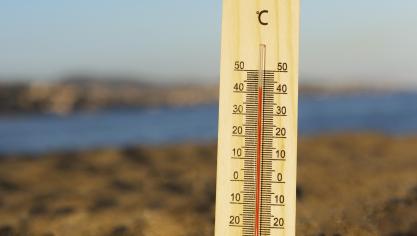 Selon les scientifiques, les canicules à répétition sont un marqueur sans équivoque du réchauffement de la planète et ces vagues de chaleur sont appelées à encore se multiplier, s