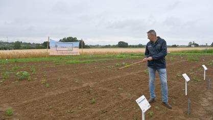 Bruno Burlet met en évidence la complémentarité et l’intérêt de l’association de différents herbicides racinaires pour élargir le spectre d’action et améliorer l’efficacité du désherbage.