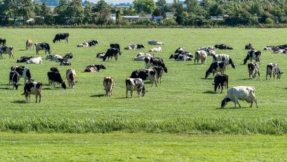 Pour ce faire, le secteur agricole devrait adopter largement certaines pratiques notamment dans la gestion des cultures et du bétail.