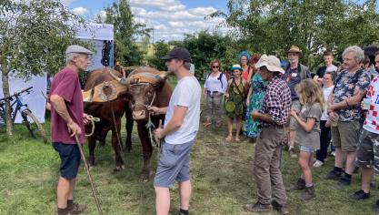 Le village de la traction animale : démonstrations sur prairie et verger  avec du matériel adapté  au cheval et au bœuf.