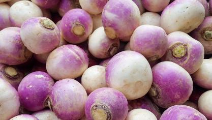 Ce légume possède un intérêt notamment en vente directe dans les fermes maraîchères diversifiées.
