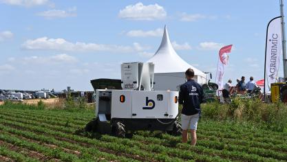 Le robot Maverick déracine les adventices, uniquement dans le rang, à l’aide d’une pince et grâce à un système de détection par caméra basé sur l’intelligence artificielle.