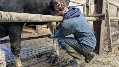 41 % des répondants sont issus de zones rurales, pourtant très peu s’orientent vers la médecine des animaux d’élevage.