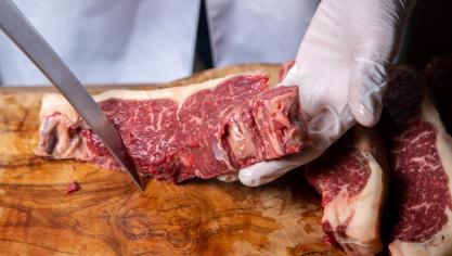 La hausse des prix est encore plus prononcée pour la viande bovine, avec un pic à près de 10 euros le kg carcasse (pour les jeunes taurillons AS2), ce qui a permis aux éleveurs bovins d