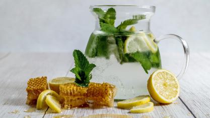lemon-3010065
