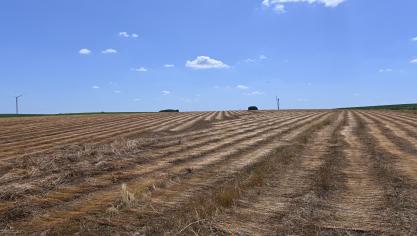La notion de prépondérance ne sera à examiner que si le preneur, à qui le congé est notifié, est exploitant agricole à titre principal. Dans ce cas, l’activité agricole du bénéficiaire du congé devra, elle aussi, présenter un caractère prépondérant par rapport à toute autre activité professionnelle éventuelle.