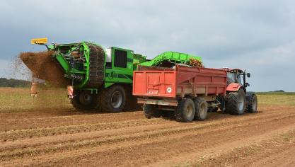 Un seul conseille demeure en vue des récoltes: vise la qualité plutôt que la quantité!