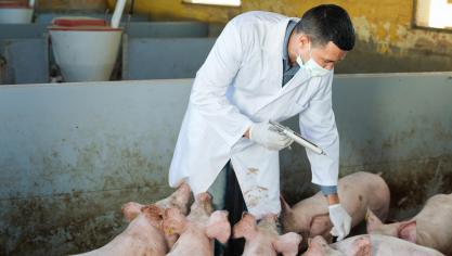 Désormais les élevages ont un «statut antibiotique d’exploitation» qui peut être vert, jaune ou rouge.