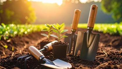 AdobeStock_1514135412
