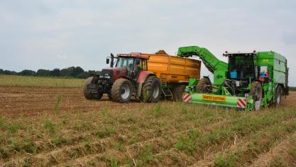 Selon le Nepg, les producteurs doivent sérieusement envisager de produire dans des conditions économiquement viables, et non pas simplement en fonction des attentes des transformateurs.