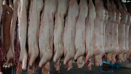 Plus d’infos sur https://collegedesproducteurs.be/directory-abattoirs_wa/