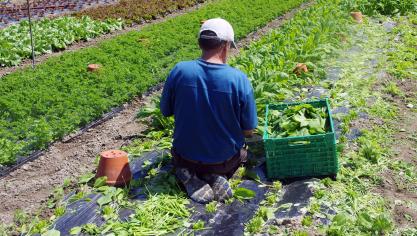 Selon la Cour des comptes,  les contrôles menés par l’ONSS ne  sont pas proportionnés aux risques, notamment de travail non déclaré  et de traite des êtres humains.