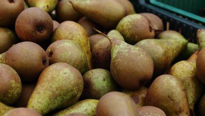 fruit-4479075