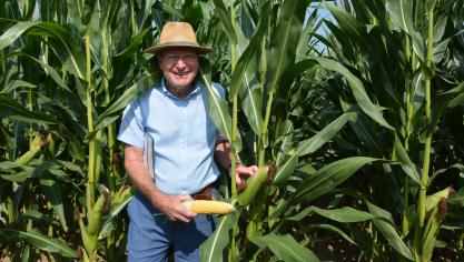 Pour les semis 2026, Pierre Claerhout intègre la variété Cabestro à son catalogue,  avec un rendement en grains de 14.504 kg/ha à 15 % d’humidité  dans le réseau probatoire du Cipf, en 2024.