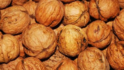walnuts-101425
