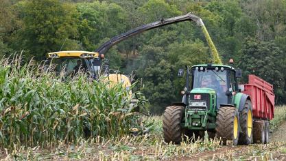 Pour les variétés précoces en Ardenne, il est encore nécessaire d’attendre puisque le seuil de 30% M.S. n’est atteint que dans les meilleures situations.