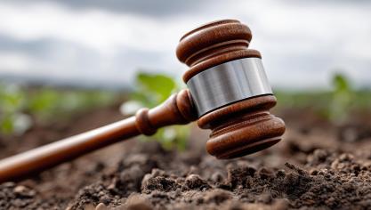 AdobeStock_1561605774 (1)