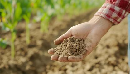 L’agriculture régénératrice repose sur une idée simple mais déterminante : replacer le sol au centre des  systèmes alimentaires.