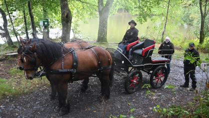 Claudy Lepère, vétérinaire et président  de l’Asbl, Laurent Georges, meneur,  et Emmanuel Girs, groom, avec Akira et Jaco ont représenté la race lors de la Route des chevaux de trait en Suisse Normande.