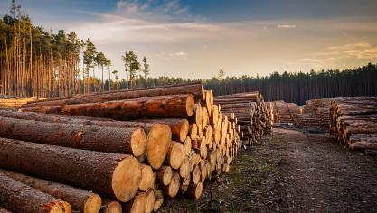 Le géant de l'agroalimentaire Mondelez avait déjà demandé  un nouveau report, pointant  les difficultés  du secteur  du cacao.