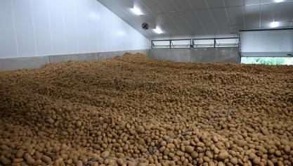 Le conseil de la Fiwap est d’être attentifs au début de germination qui a été observée dans divers stockages.