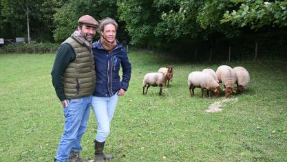 Marie-Catherine et Nicolas élèvent des Ardennais roux depuis presque 10 ans. Ils ont choisi cette race pour sa rusticité et l’entretien des prairies.