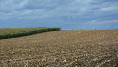 Dans le cadre de la BCAE 5, chaque parcelle se verra définir une classe de sensibilité, déterminant si des mesures de lutte contre l’érosion  doivent être prises ou non.