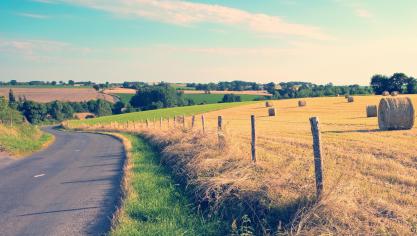 AdobeStock_403177783