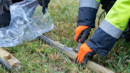 L’analyse de sol demeure un outil crucial afin de fournir des recommandations adéquates à chaque agriculteur wallon.