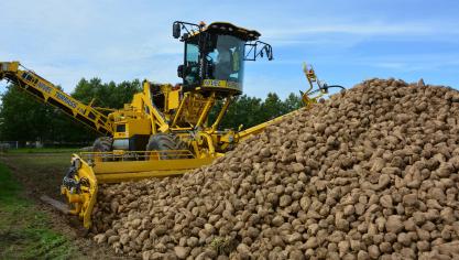 En chutant de 5,3 % en un mois, le prix du sucre atteint son niveau le plus bas depuis décembre 2020.