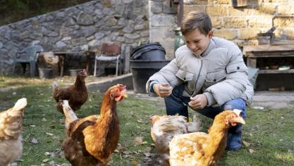 kid-plein-coup-nourrir-les-oiseaux