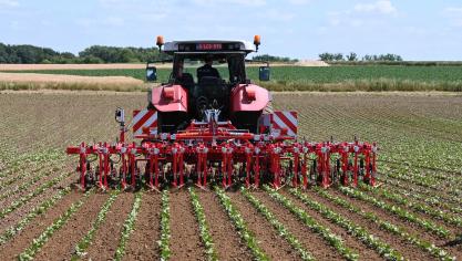 Le binage requiert d’intervenir par temps séchant, afin d’éviter  une reprise des adventices.