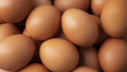 La cause de ce prix record se trouve au niveau d’une offre insuffisante par rapport à la demande.