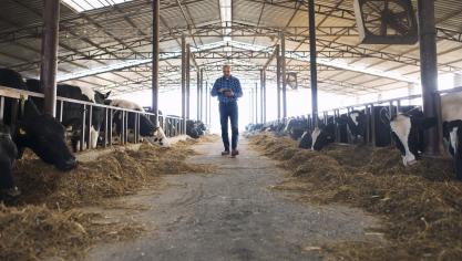 Des bilans carbone et un accompagnement personnalisé avec la mise en oeuvre de nouvelles pratiques seront proposés au 35 exploitations pilotes.