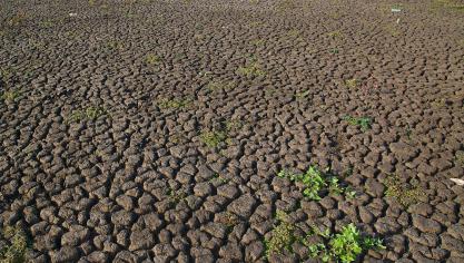 Sur le plan nutritionnel, les volumes perdus correspondent globalement à 320 kilocalories par personne et par jour, l’équivalent de 13-16% des besoins quotidiens.