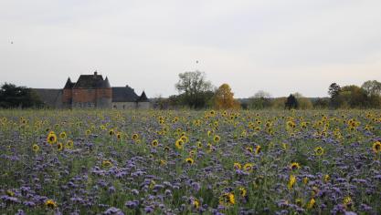 La loi de préciser que l’autorisation de la sous-location, à peine de nullité, donc à peine d’inexistence, doit être donnée par écrit et préalablement à la prise de cours de la sous-location.