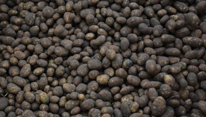 Le complément apporté concerne notamment la réglementation relative à la négociation à distance.