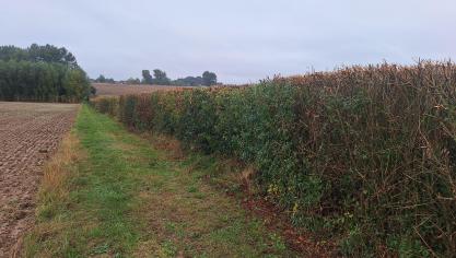 Des actions spécifiques pour les agriculteurs sont également organisées.