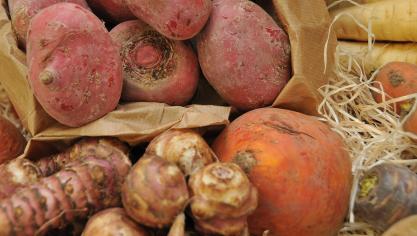 AdobeStock_822276294