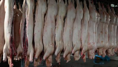 L’exportation des produits du «cinquième quartier» (oreilles, pattes, tripes) est devenue presque impossible.