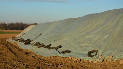 Baisse des températures rime avec bâchage des tas.