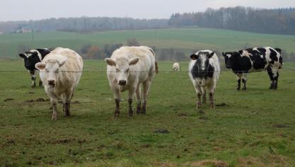 Pour M. Ledent, la rentabilité agricole est désormais liée à des arbitrages politiques sur l’énergie, le climat et l’aménagement du territoire.