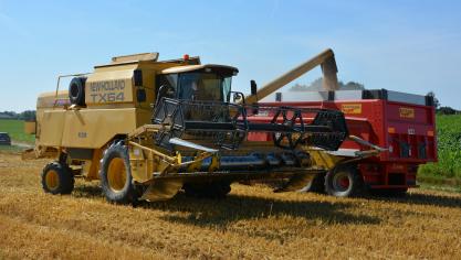 La production mondiale de céréales devrait s’établir à 2.430 mt pour  la campagne 2025/2026.