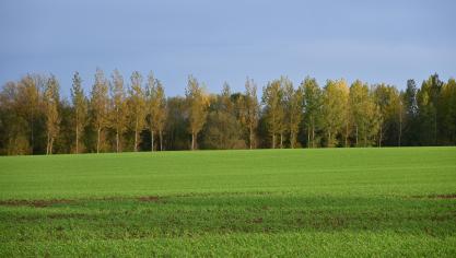 L’important à retenir est que la cession privilégiée conduit à un renouvellement du bail. Les compteurs sont remis à zéro, sans continuité du bail comme en matière de cession simple ou ordinaire.