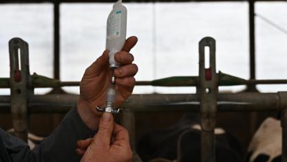 Aucune intervention budgétaire fédérale n’est prévue pour l’achat des vaccins ou la réalisation des actes de vaccination.